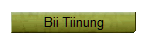 Bii Tiinung