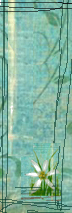 side border2