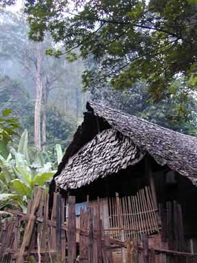 Karen house in jungle